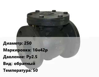 Клапан чугунный 250 16ч42р Ру2.5 обратный 50